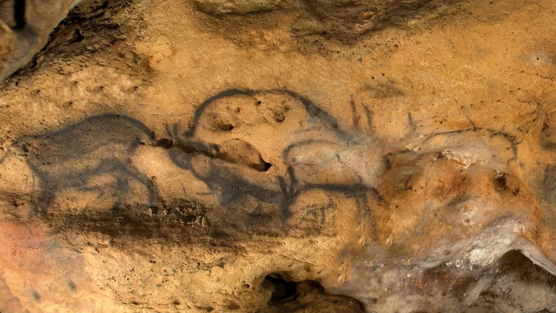 Pintura rupestre negra en una pared rocosa de la cueva de Font-de-Gaume.
