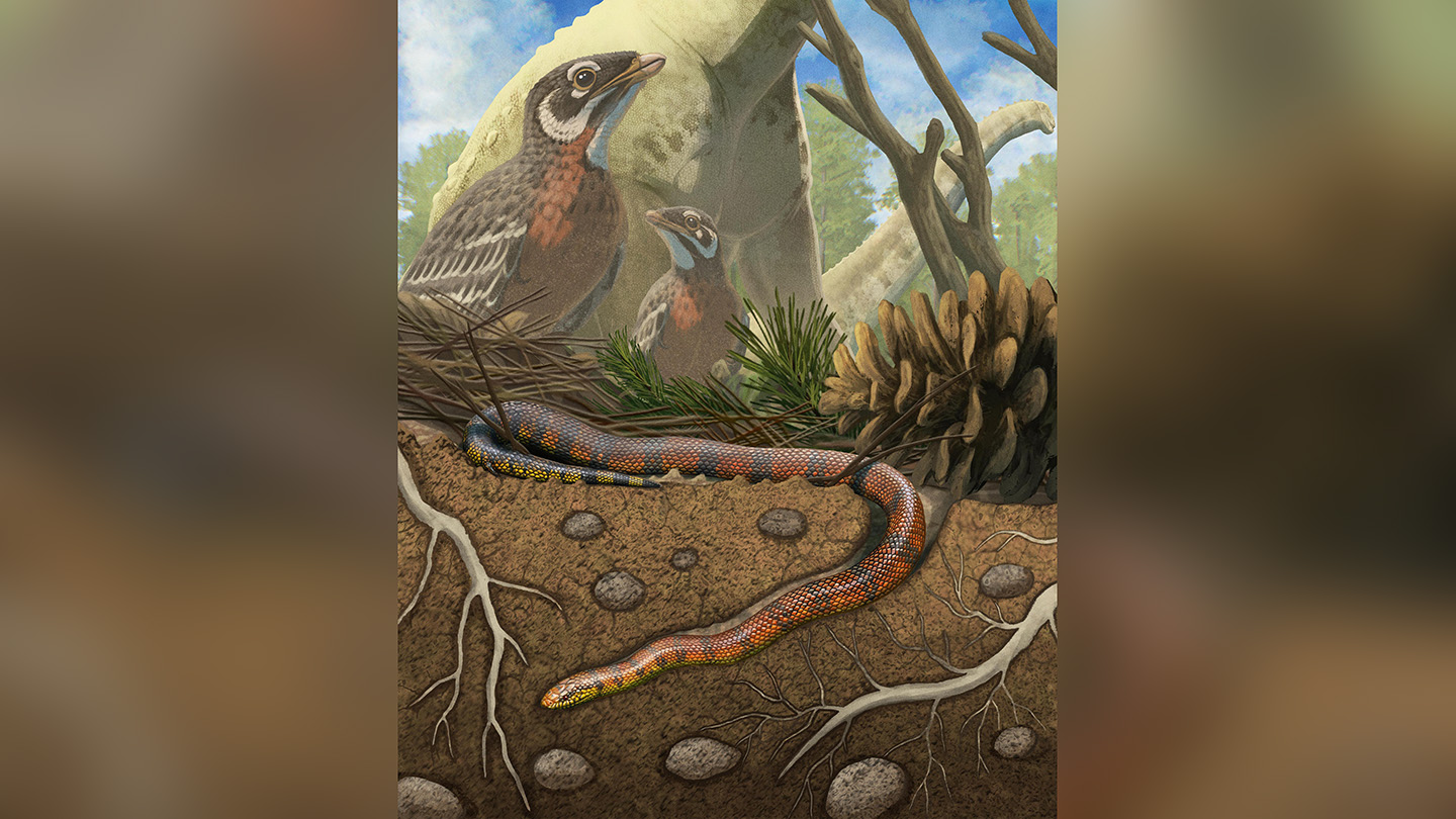 Ilustración de una serpiente antigua pequeña junto a dinosaurios en un paisaje del Cretácico de Brasil.