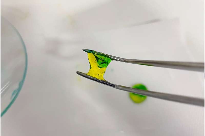 Hidrogel teñido en laboratorio que ilustra un biomaterial blando diseñado para imitar el entorno de las células en tejidos vivos.