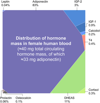 Diagrama del estudio que muestra qué parte de la masa hormonal circulante corresponde a distintos tipos de hormonas, con predominio marcado de adiponectina y DHEAS.