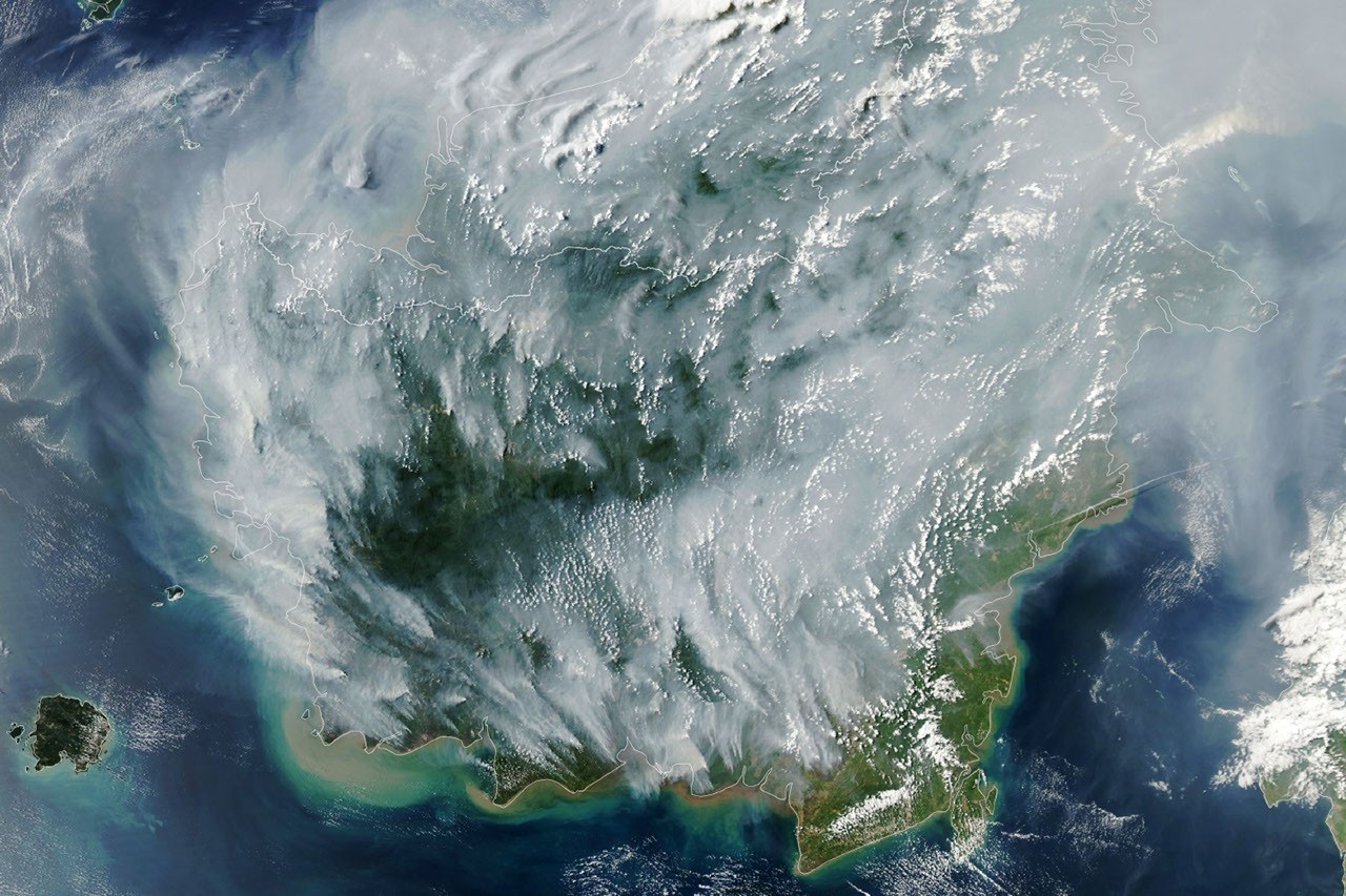 Penachos espesos de humo gris elevándose desde múltiples focos de incendio sobre la isla de Borneo.