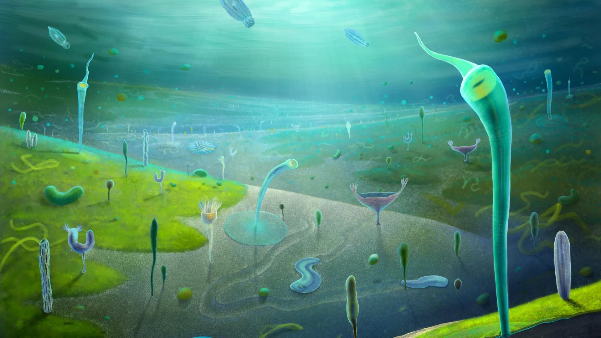 Reconstrucción de la biota de Jiangchuan, un ecosistema marino del Ediacárico tardío en el suroeste de China.