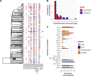 Visualización del estudio que compara rasgos de resistencia antimicrobiana en aislamientos de Klebsiella pneumoniae