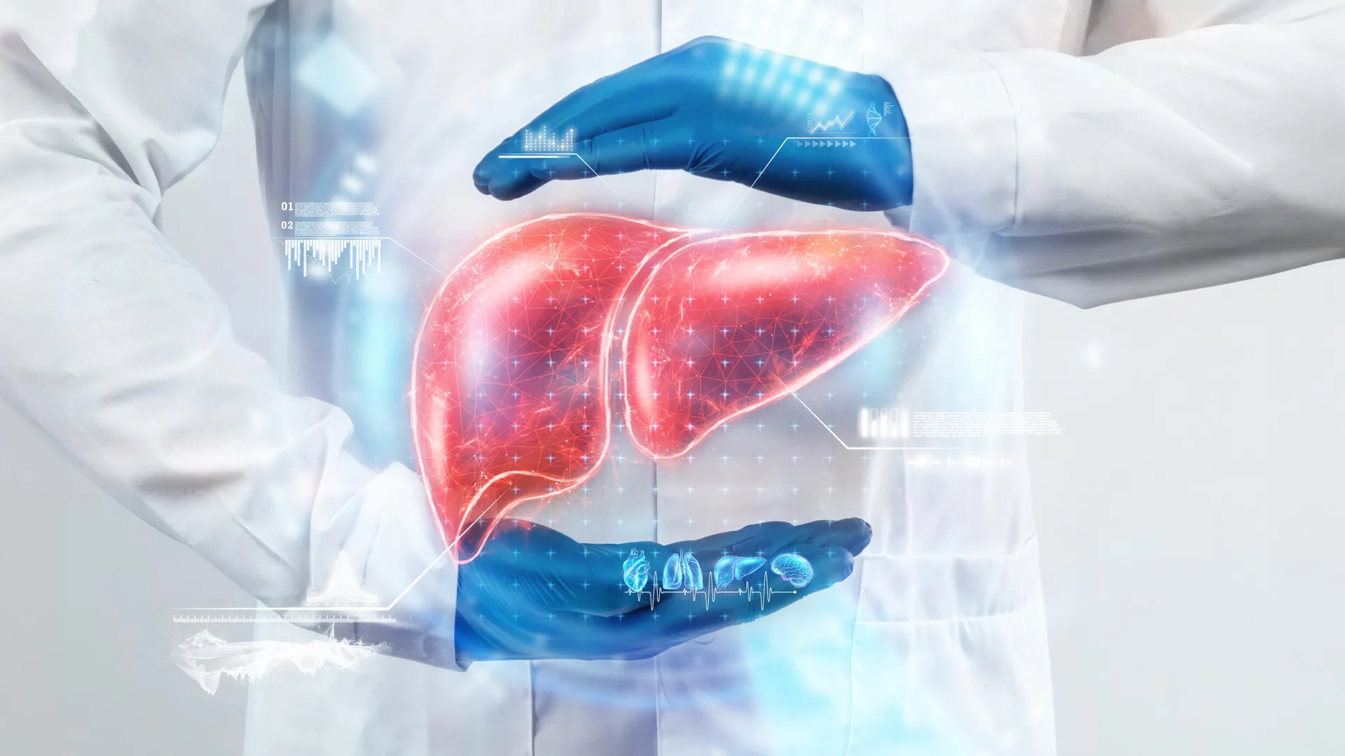 Ilustración médica de un hígado y el intestino para representar la relación entre microbioma y salud hepática